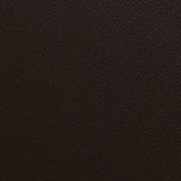 Swatch for Choko Leather 5004