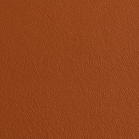 Swatch for Cognac Scozia Leather
