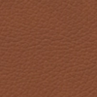 Swatch for Essential Walnut Leather