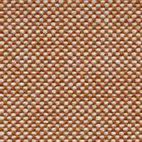 Swatch for Fabric / Cognac-Ivory