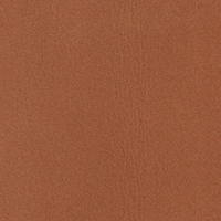 Swatch for Grace Walnut Leather