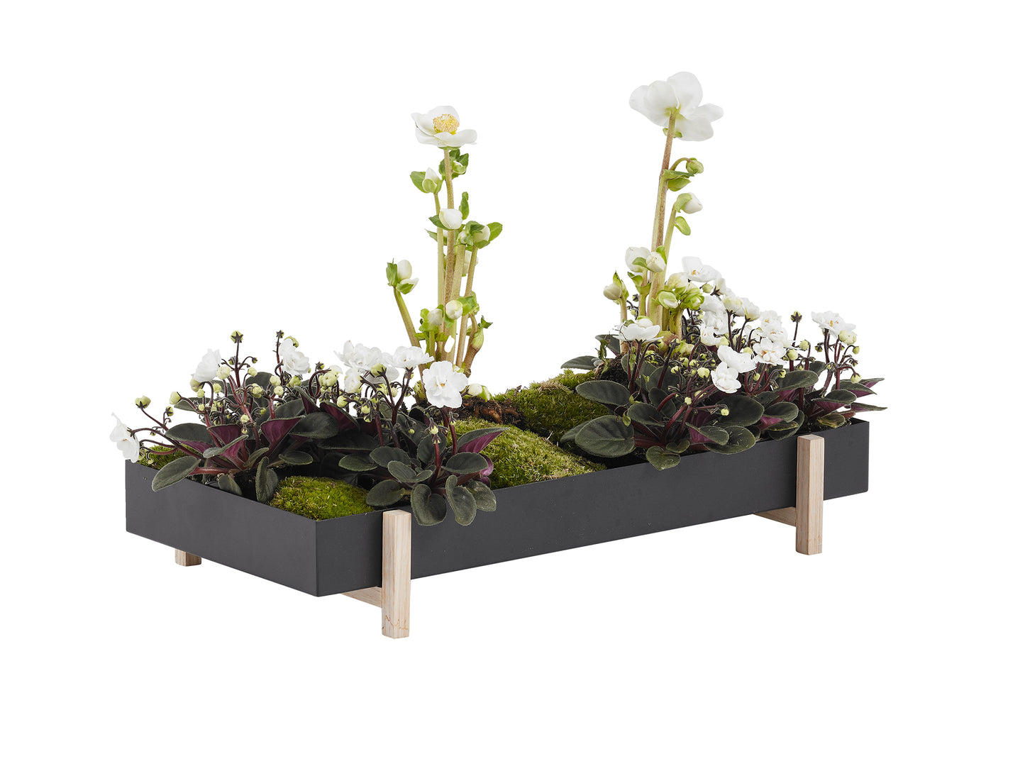 Botanic Tray by Design House Stockholm

