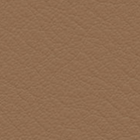 Swatch for Leather 75 Camel (L50)