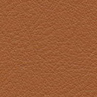 Swatch for Leather 97 Cognac (L50)
