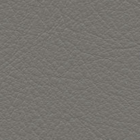 Swatch for Leather Premium F Granite