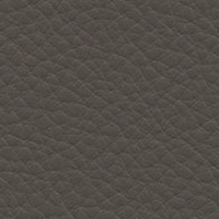 Swatch for Leather / Umbra Grey