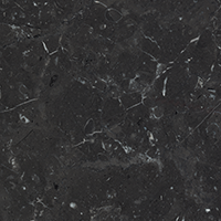 Swatch for Marble Nero Marquina
