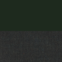 Swatch for Palm Green / Remix 973