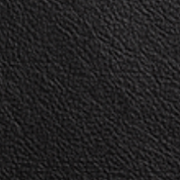 Swatch for Standard Sierra Black Leather