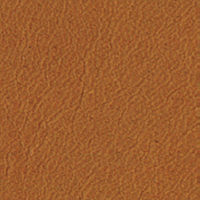 Swatch for Walnut Grace Leather