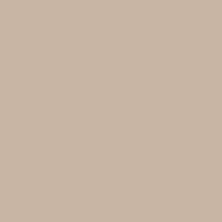Swatch for Warm Grey Half