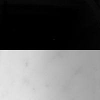 Swatch for White Carrara Marble Base / Black Aluminium Shade