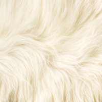 Swatch for White Long-Haired