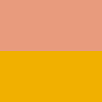 Swatch for Yellow Seat / Pink Back