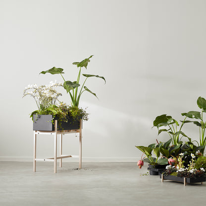 Botanic Stand by Design House Stockholm