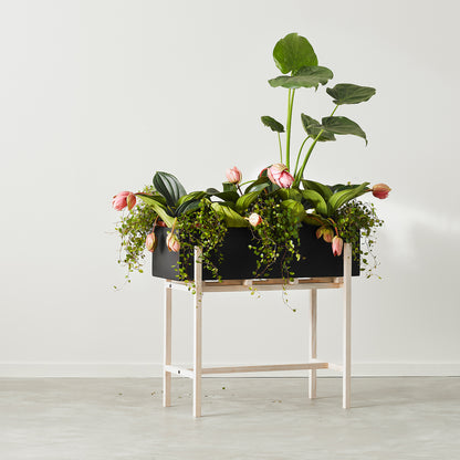 Botanic Stand by Design House Stockholm