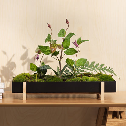 Flower Tray by Design House Stockholm