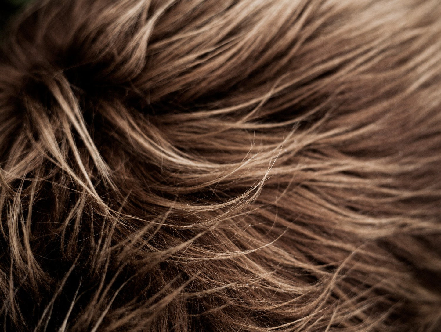 Cuero Long-haired Sheepskin - Brown